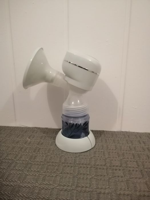 Loktator elektryczny