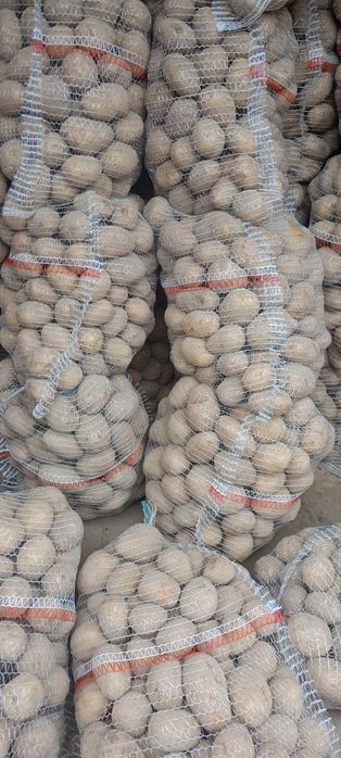 Szprzedam denar ziemniaki