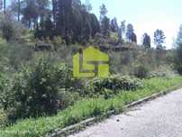 Terreno Urbano