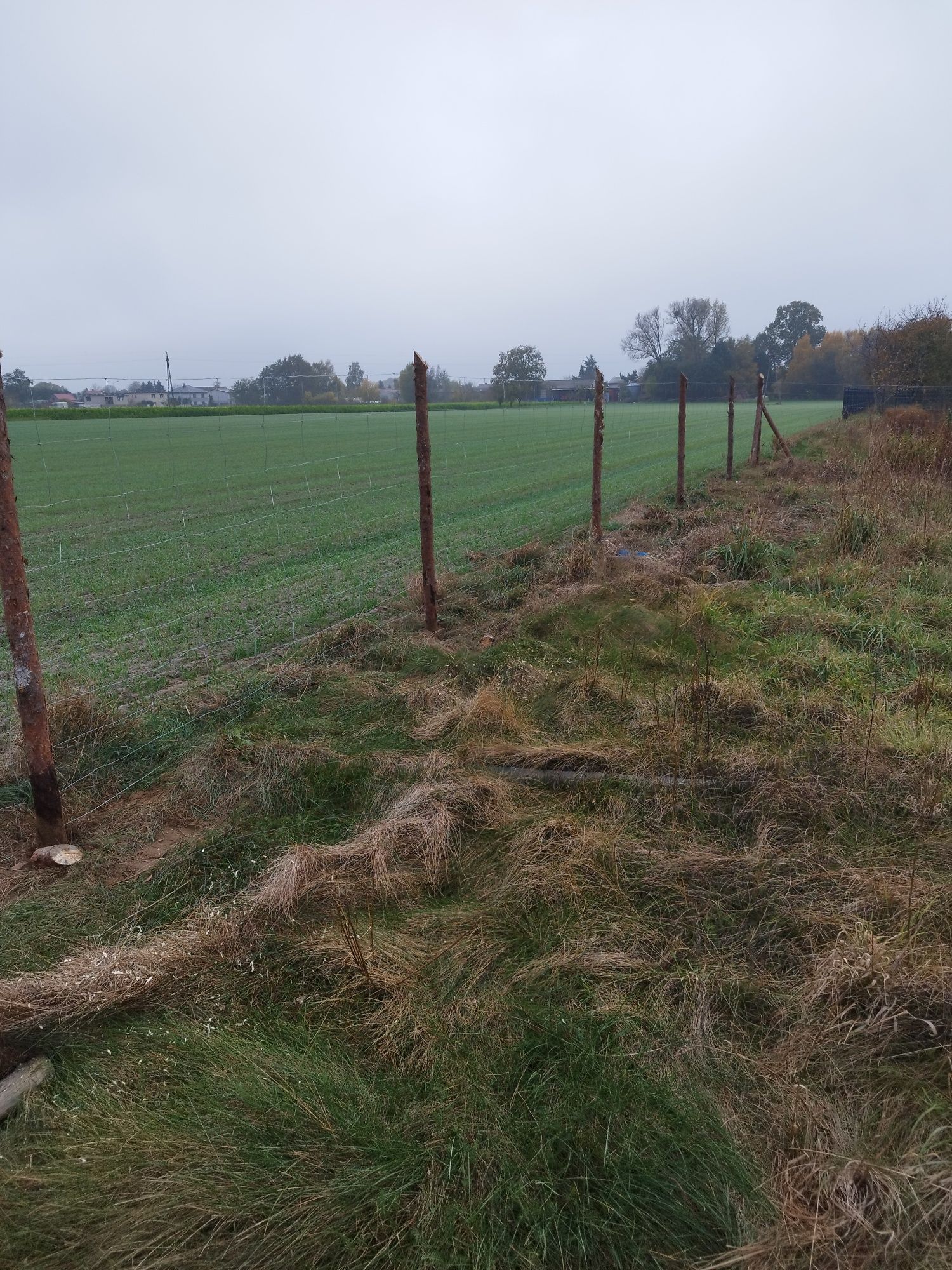 Ogrodzenie budowlane, tymczasowe, leśne