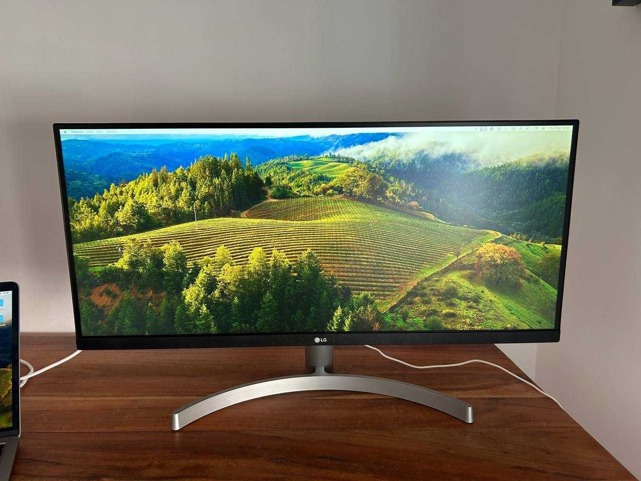 Monitor LG UltraWide 29W novo
