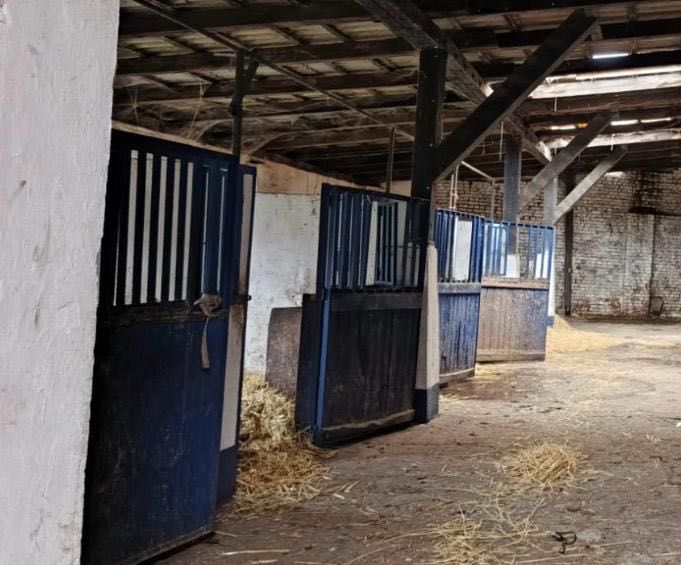 Wynajem boksów dla koni
