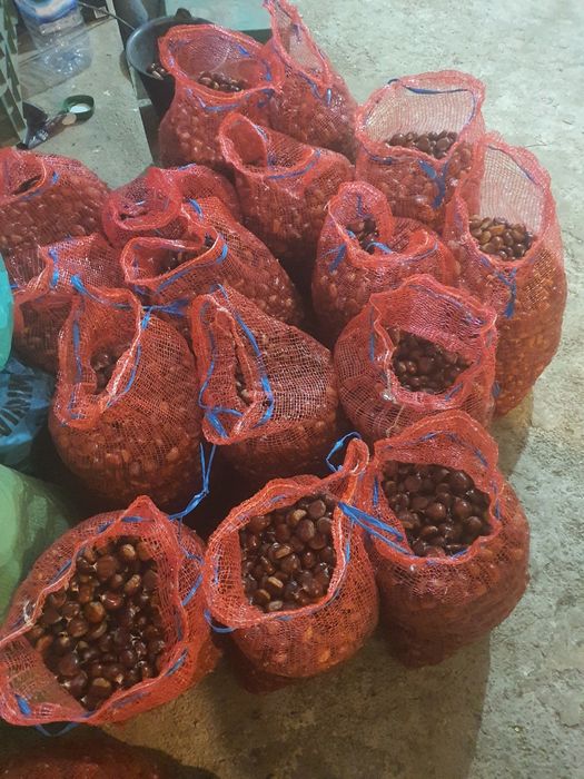 Castanhas de ótima qualidade