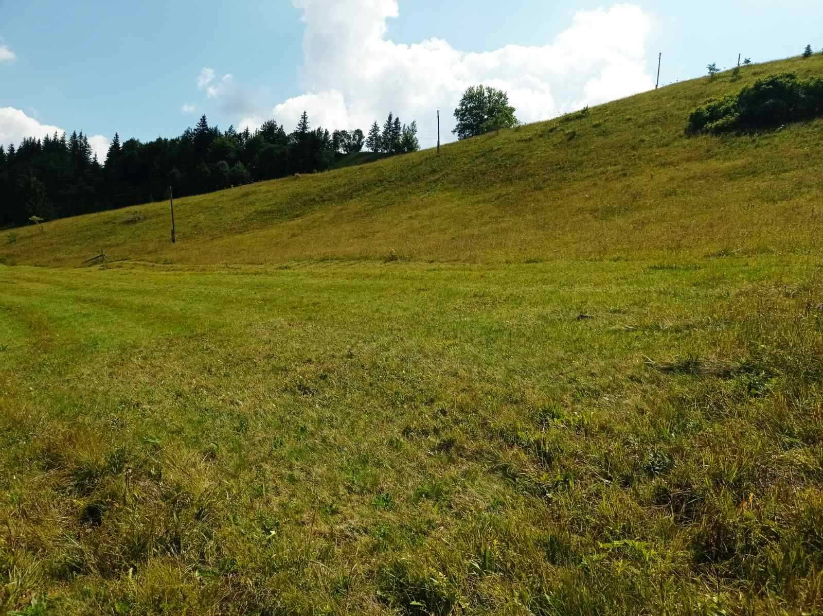 Продам земельну ділянку в Буковелі