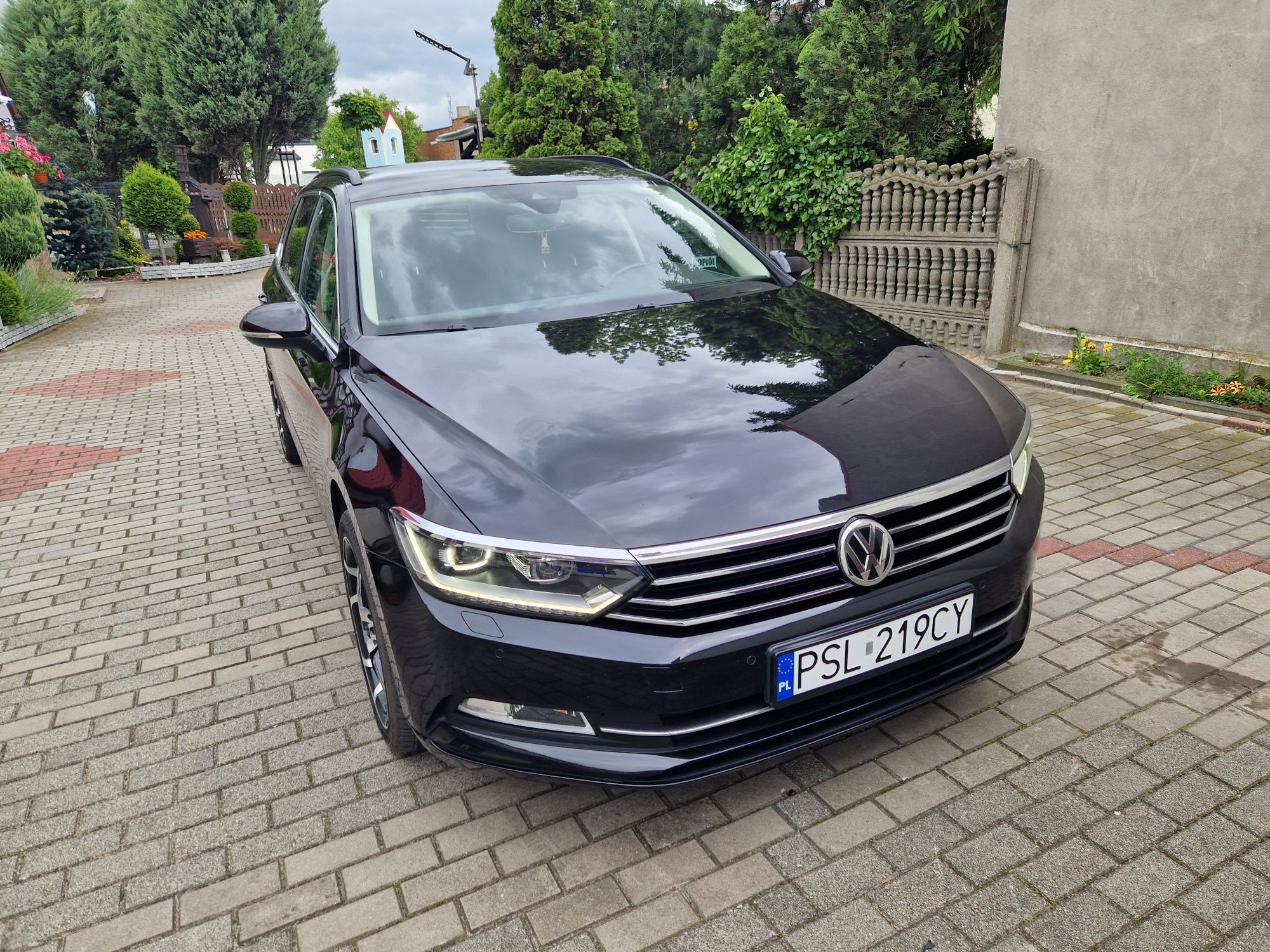 Passat z potwierdzonym przebiegiem