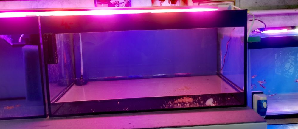 Akwarium 54l 60cmx30cmx30cm
