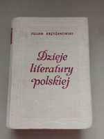 Dzieje literatury polskiej