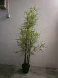 Planta decorativa artificial – Bambu alto com vaso