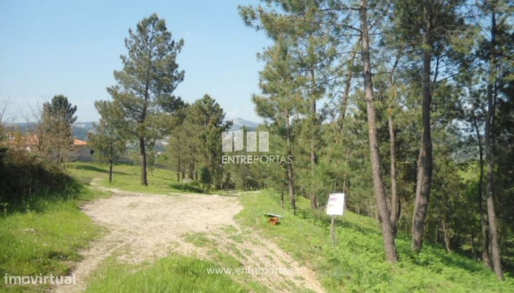 Venda Terreno, Fornos, Marco de Canaveses