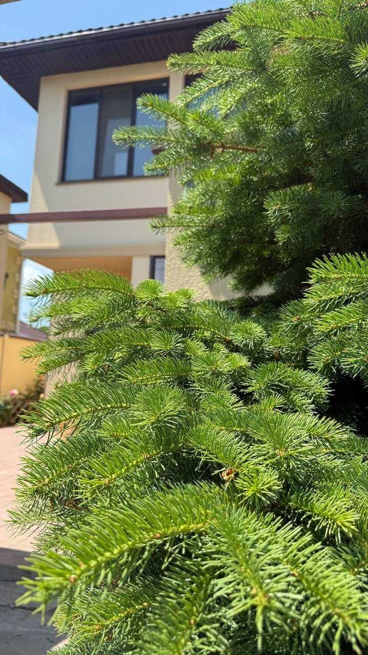Продам дом в Лесках с отличным ремонтом+мебель+техника Море рядом
