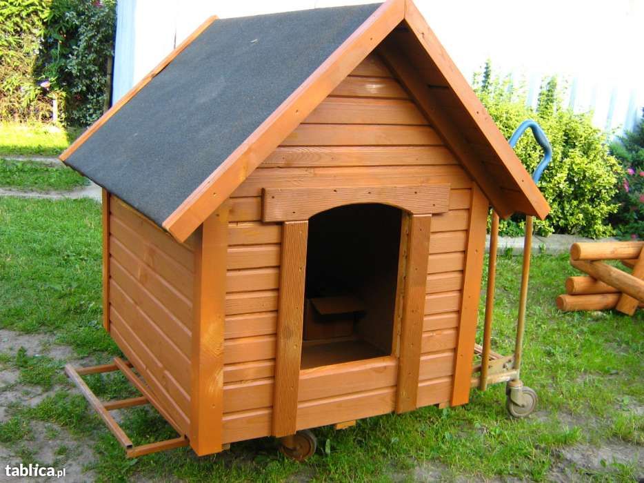 buda dla psa,spaniel,begel