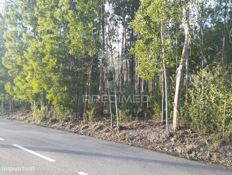 Terreno em Oliveirinha (Picoto)