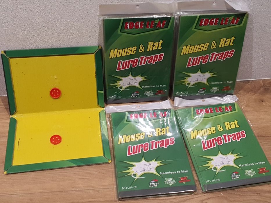 Lep na myszy pułapka klejąca Lep