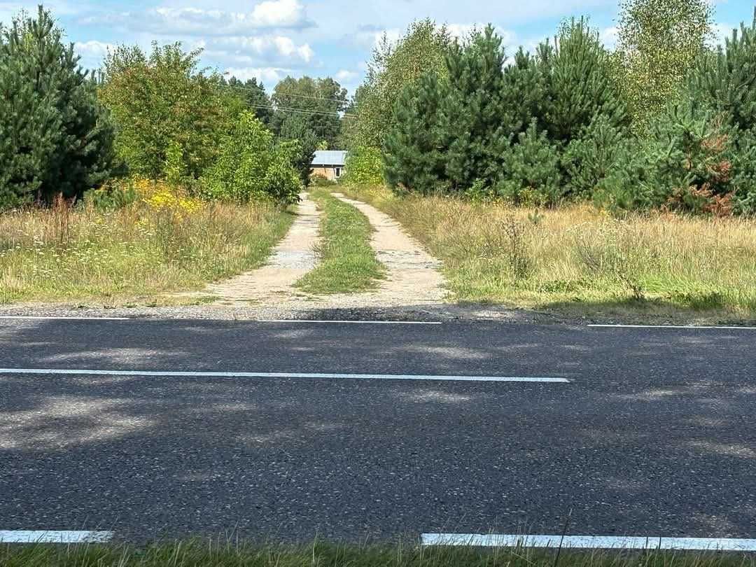 Siedlisko z lasem