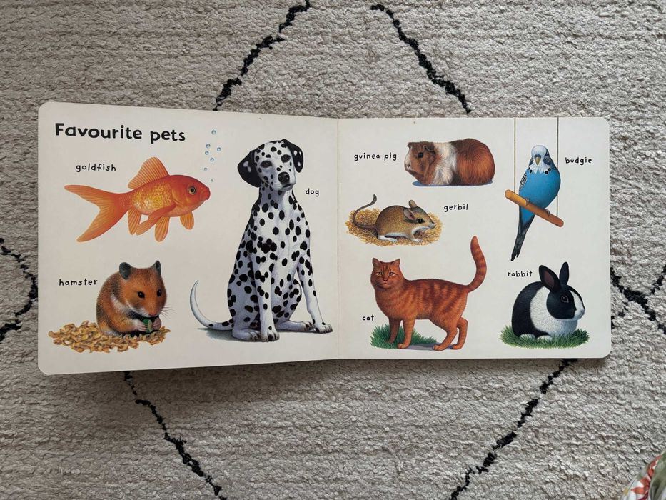 Książki po angielsku dla przedszkolaka