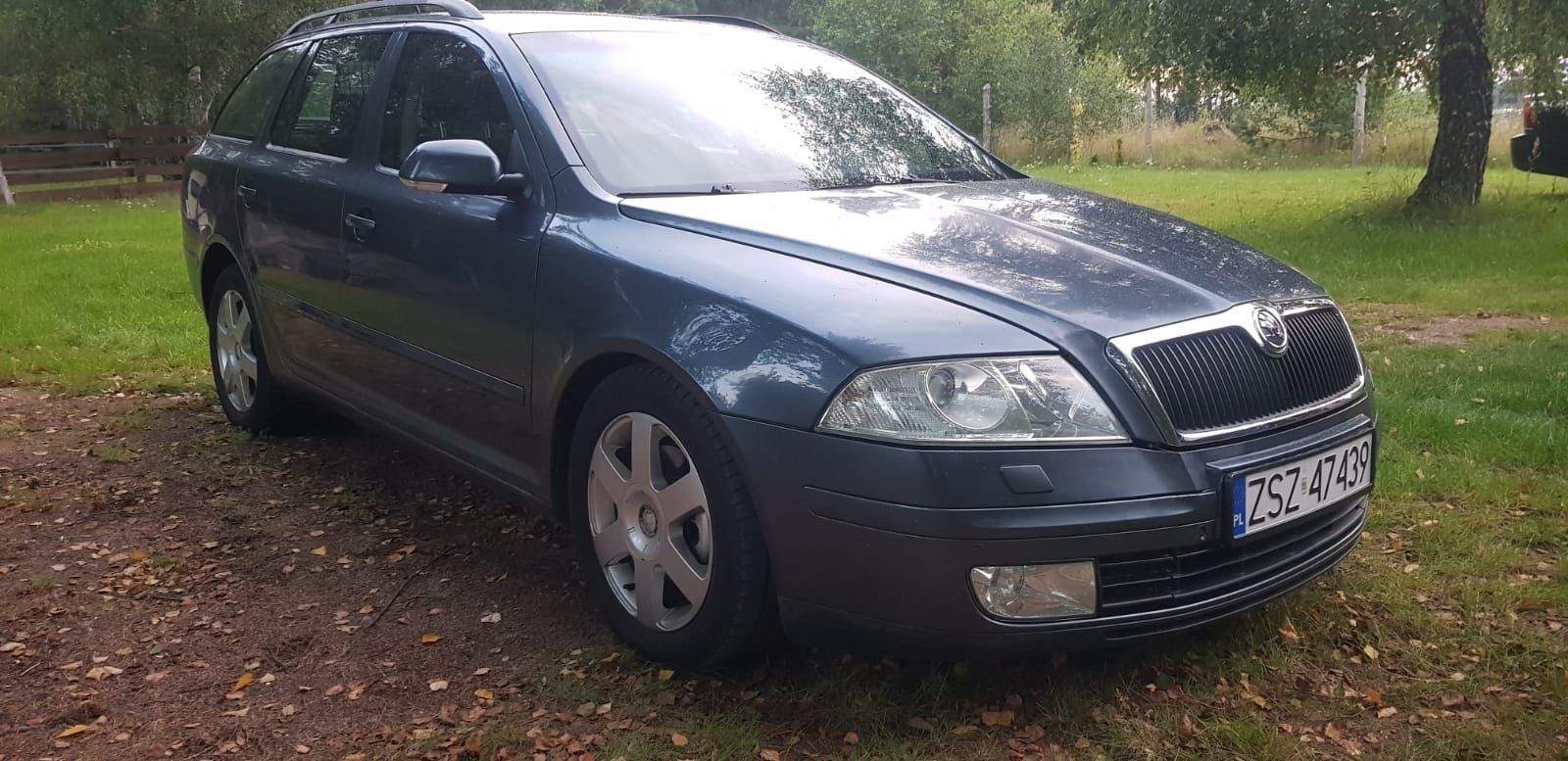 Skoda Octavia 1.9 TDI 105KM automat DSG ,190860 tyś , skóra,  Xenon,