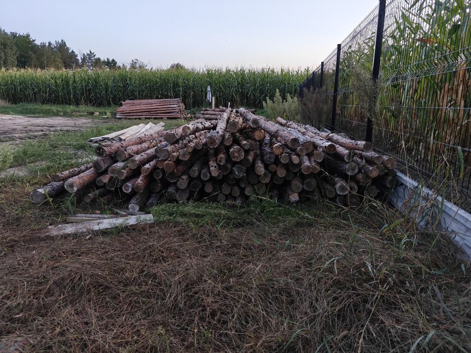 Stemple budowlane / Słupy drewniane 260 cm