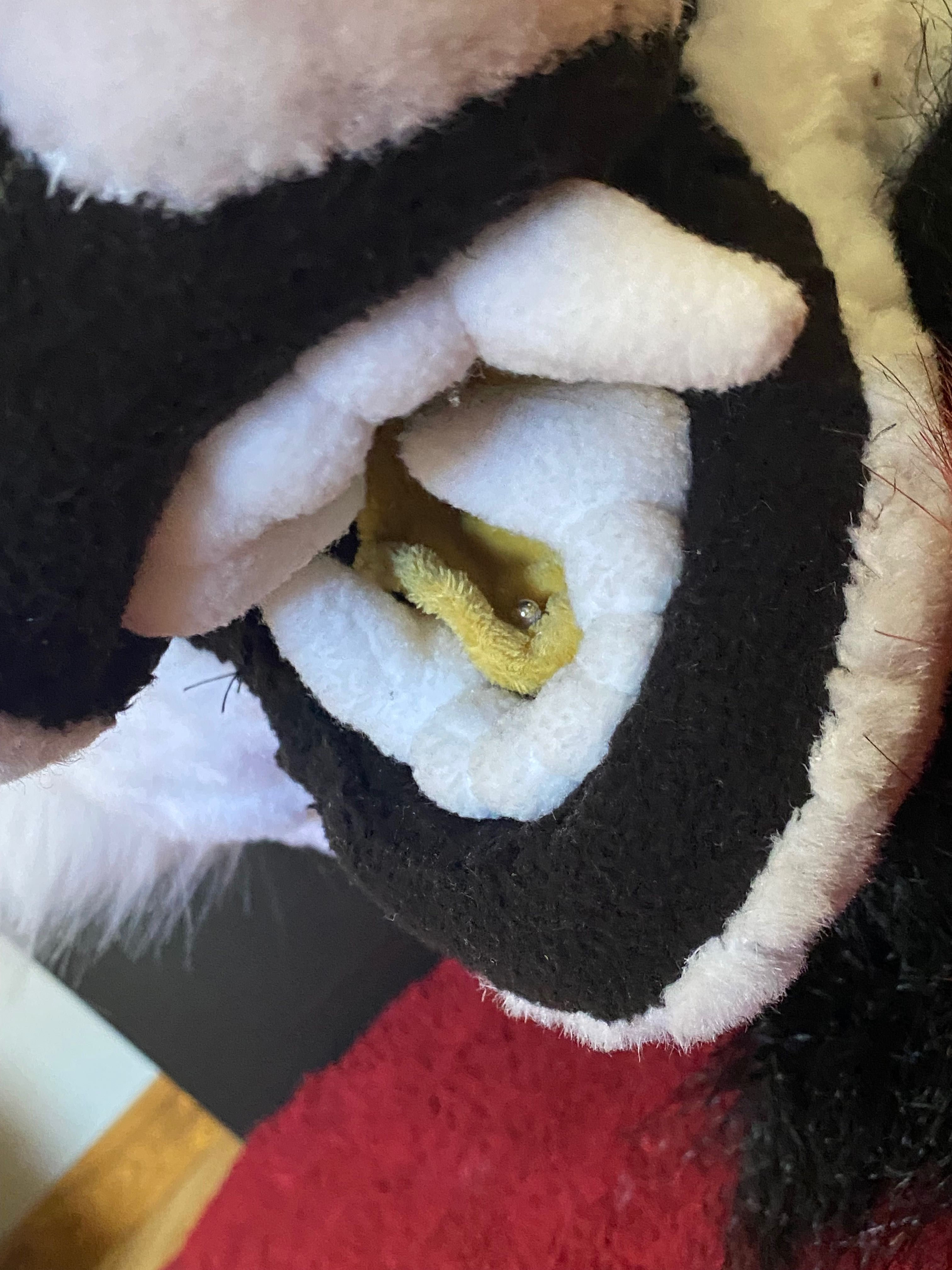furry fursuit zestaw