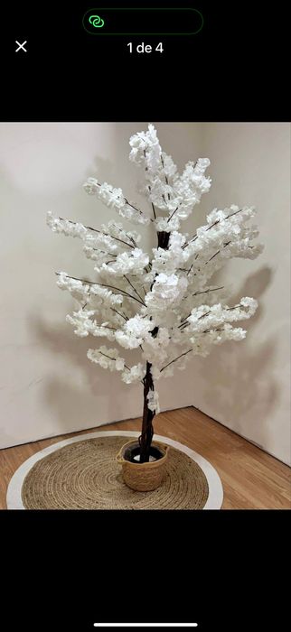 Arvore flores de cerejeiras