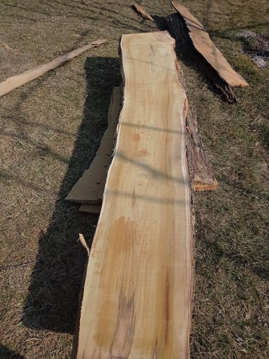 Дошка шовковиця (морва) 50мм