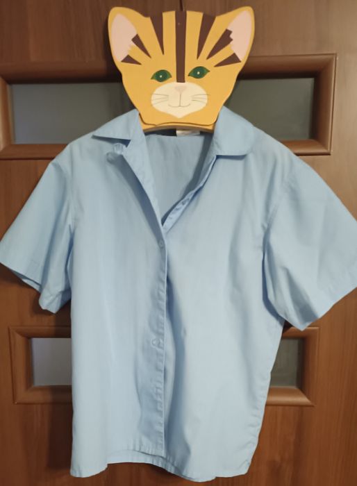 Niebieska koszula z krótkim rękawem dla chłopca.