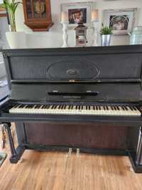 Pianino Arnold  Fibiger