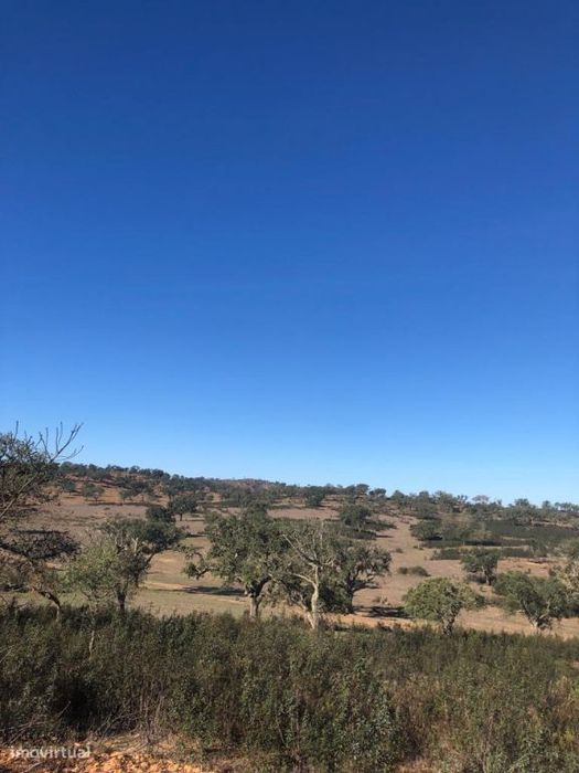 Terreno Rústico 18.1 ha, Cercal do Alentejo, Santiago do Cacem