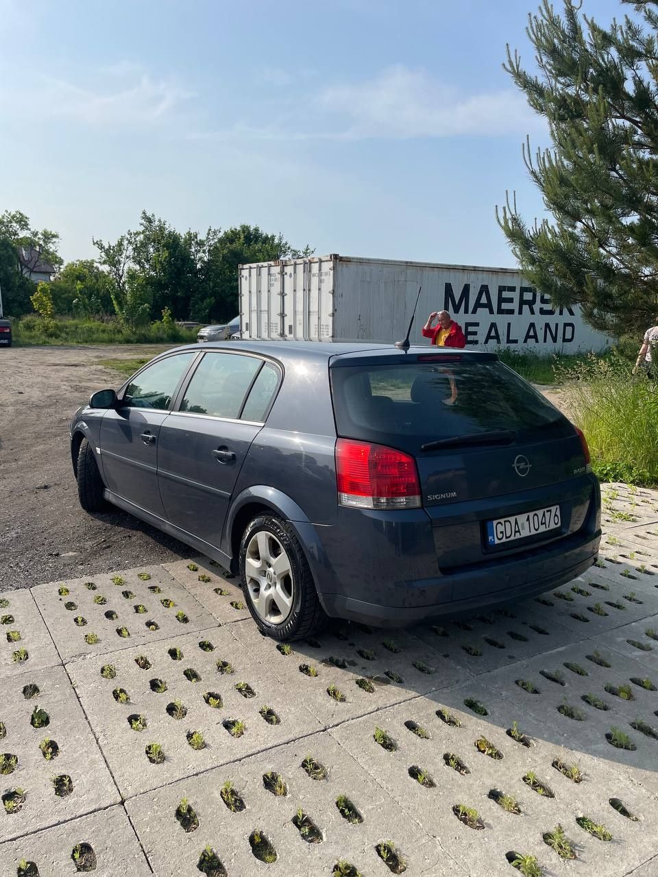 Opel signum 1.9cdti