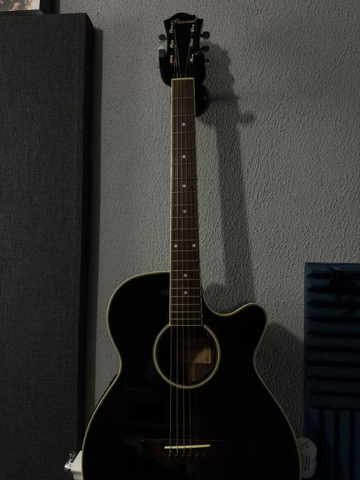 Guitarra Channel by ESM