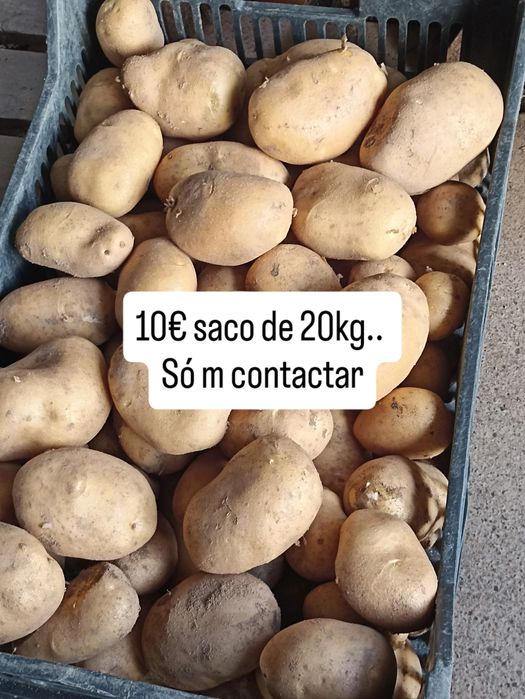 Batata agria . Produção própria