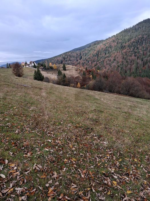 Продаж земельної ділянки на Синевирському перевалі
