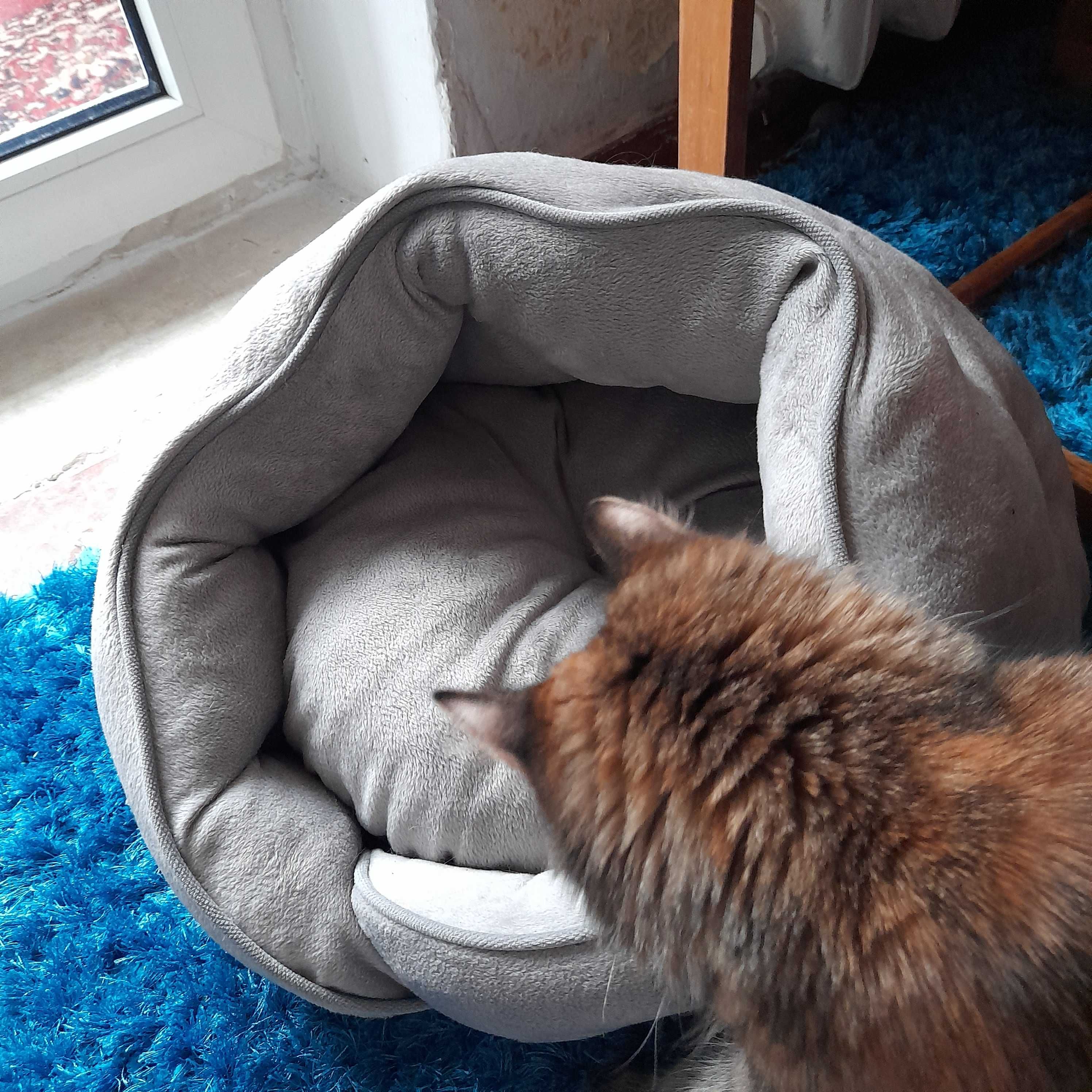 лежак для котів та кішок