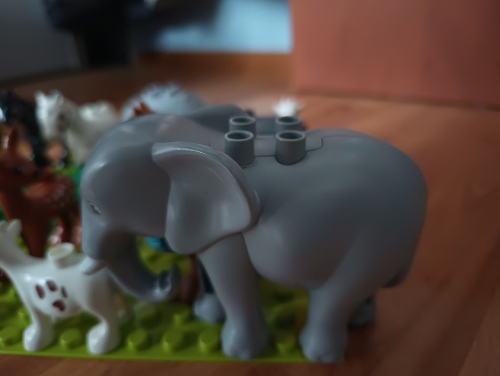 LEGO jak Duplo ogród zwierząt 16 elementów plus gratis