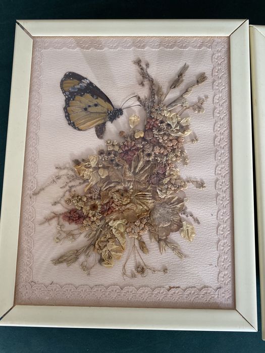 2 Quadros antigos borboleta e plantas