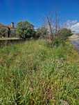 Terrenos ....... Limpar