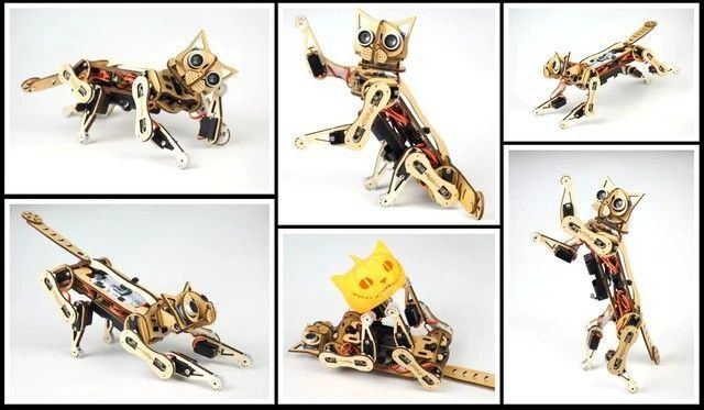 Конструктор на C++, Python / Робот кіт Petoi Nybble Robotic Cat