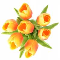 Bukiet Tulipan 9 Łodyg 44 Cm Żółto-Pomarańczowy