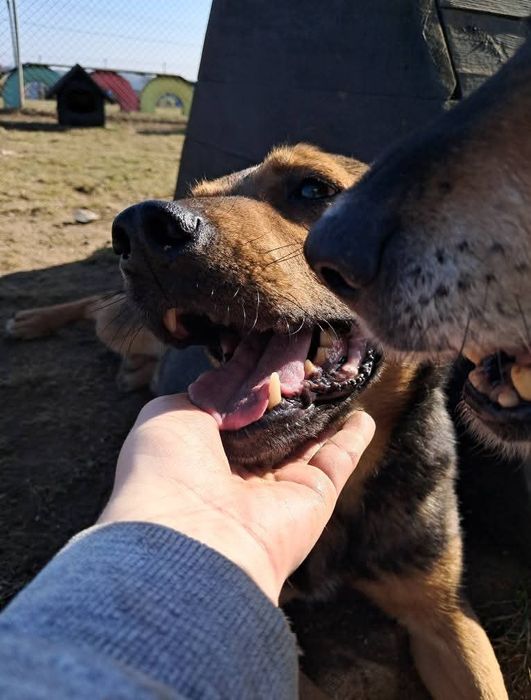 Lucjan szuka człowieka