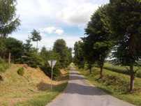 koszenie trawy, trawników, działek