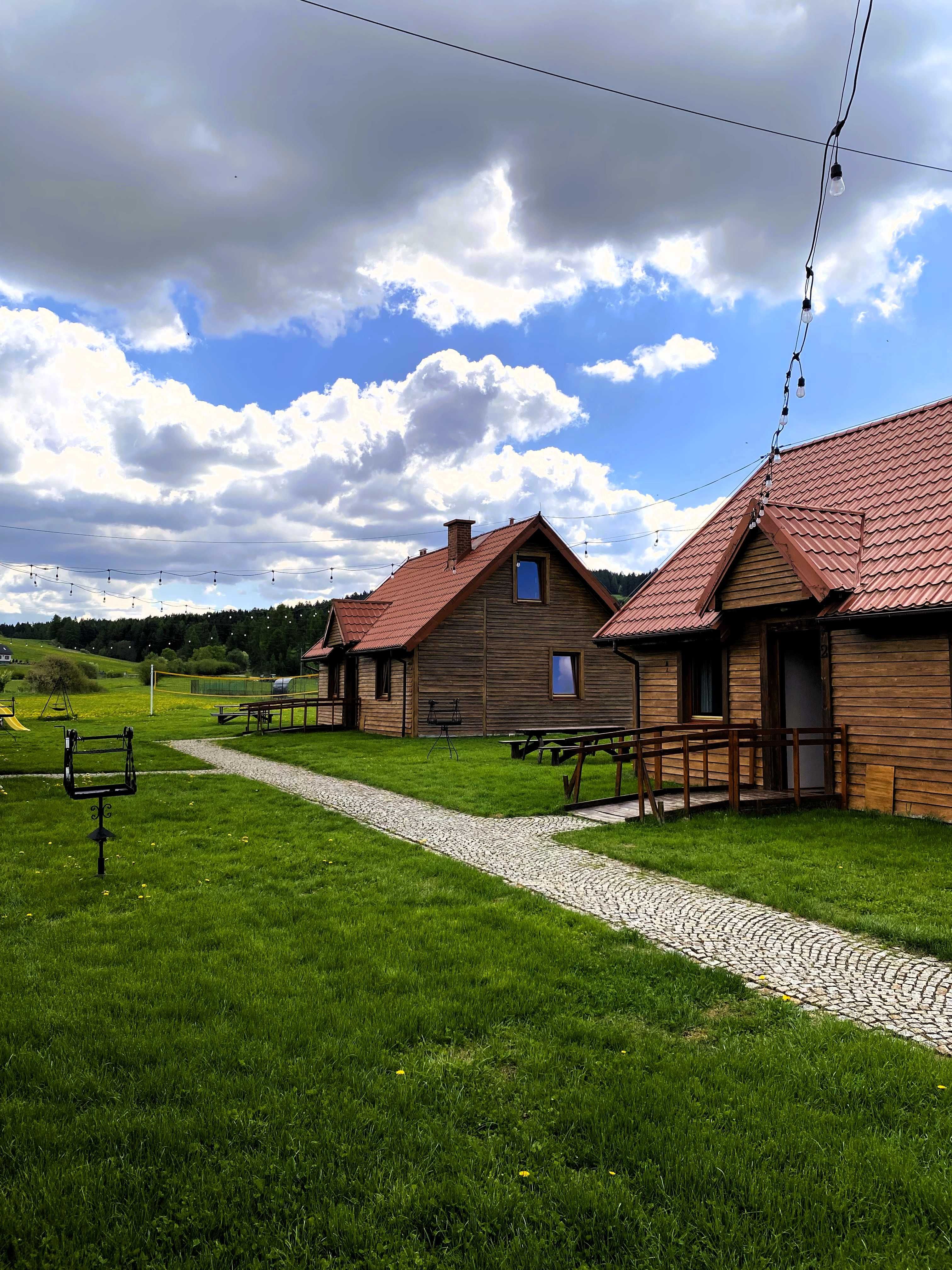 Caloroczne Domki w Gorach ALEKANDER 9-12 os Tanio
