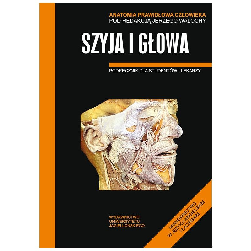 Anatomia Skawina głowa i szyja 2013