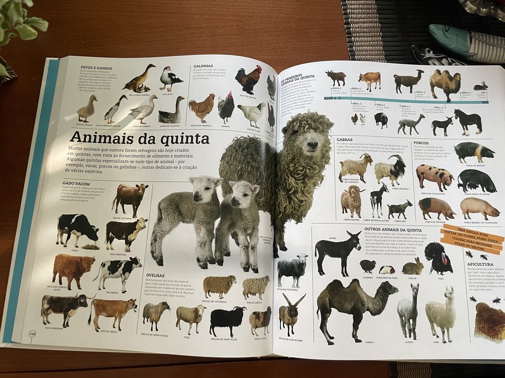 Imagipédia - enciclopedia infantil
