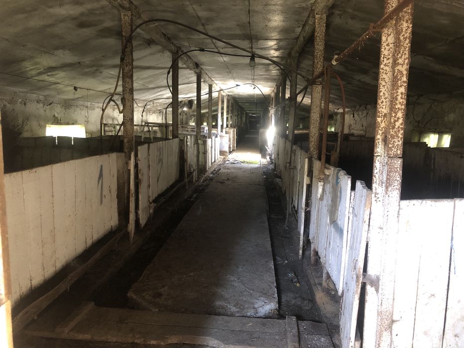 Продається агрокомплекс з птахофермою.