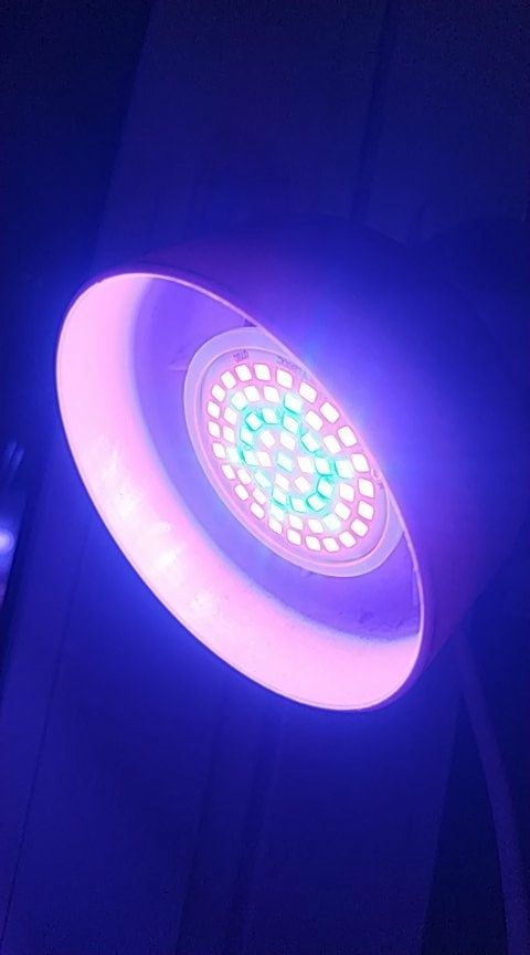 LED фитолампа для растений для рассады Е-27