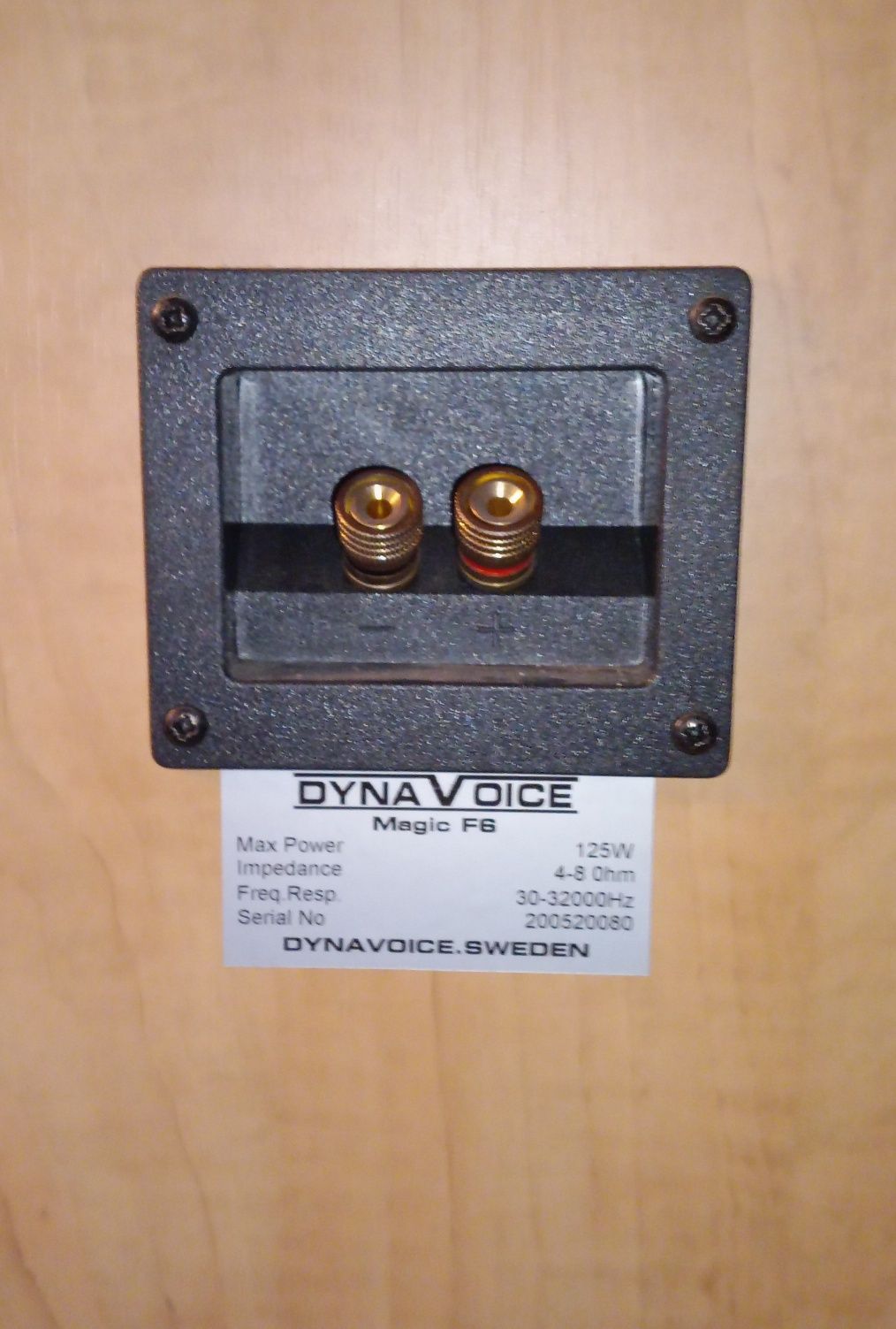 Kolumny DynaVoice Magic F6