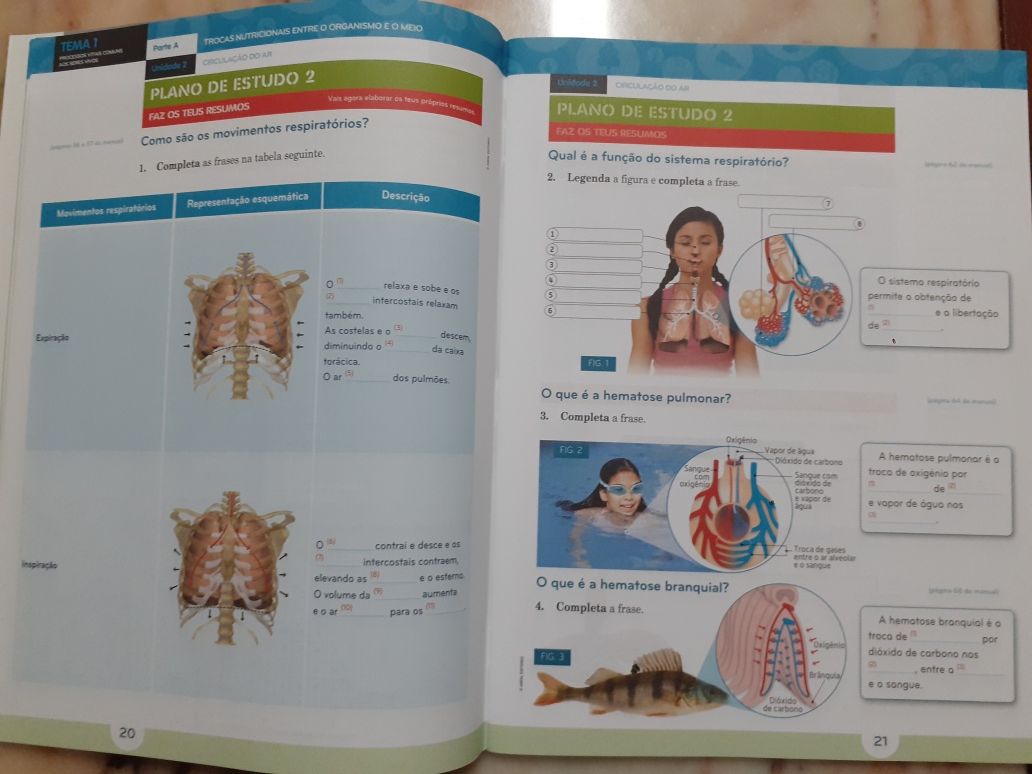 Manual e Caderno de Atividades Natura 6 - 6º ano Ciências