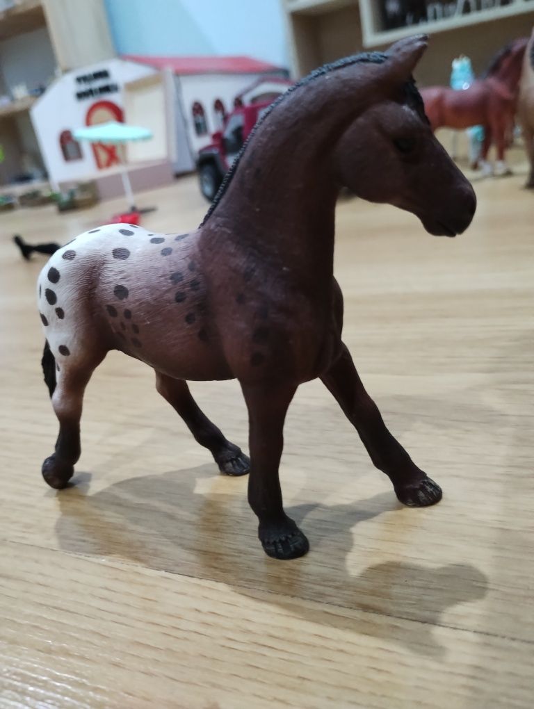 Klacz appaloosa schleich