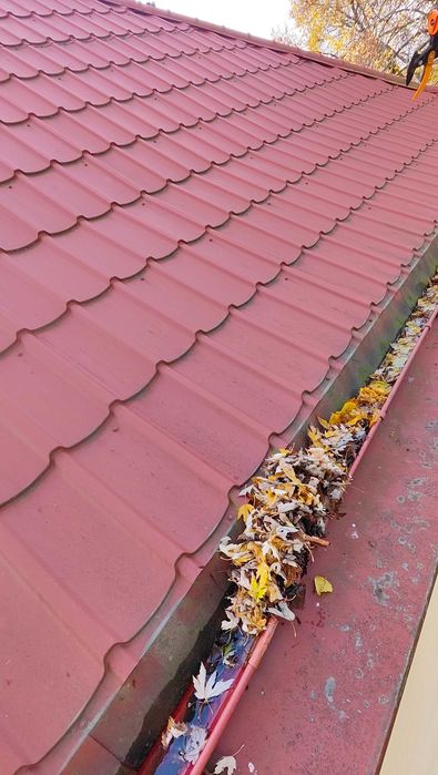 Wycinka drzew usługi podnośnikiem #Mazowieckie#Warszawa