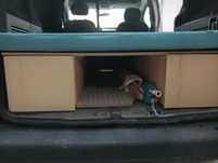 Móveis camping feitos por medida para Citroen Berlingo