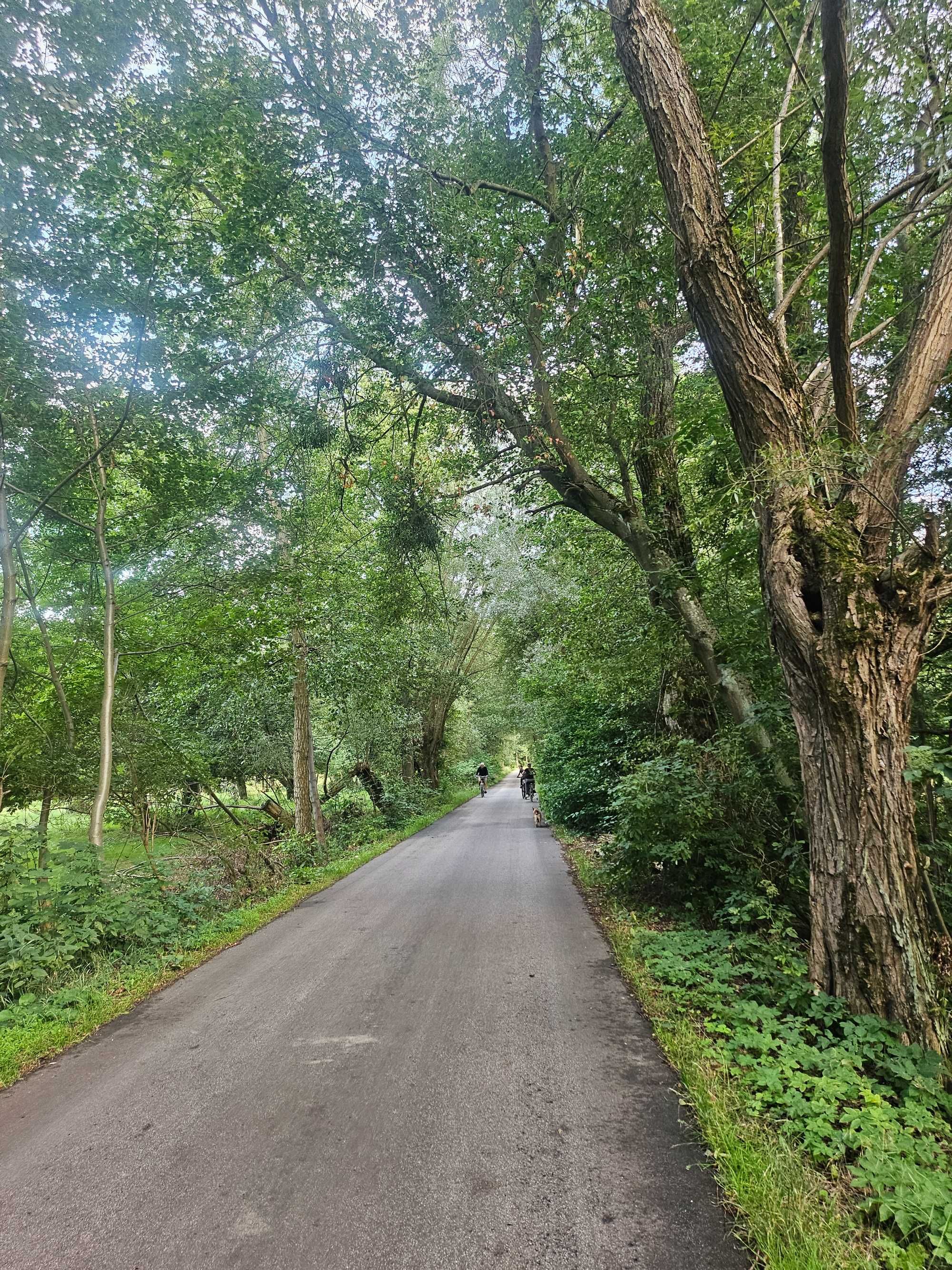 Siedlisko, Rolne, Brzozówka 36.600 m2 w otulinie Kampinosu